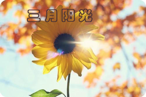 ꖹ