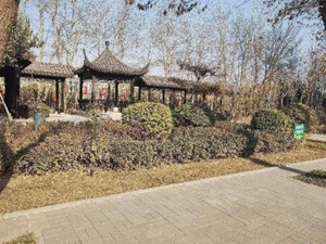 `|Сꠡ؞حh(hun)(yu)